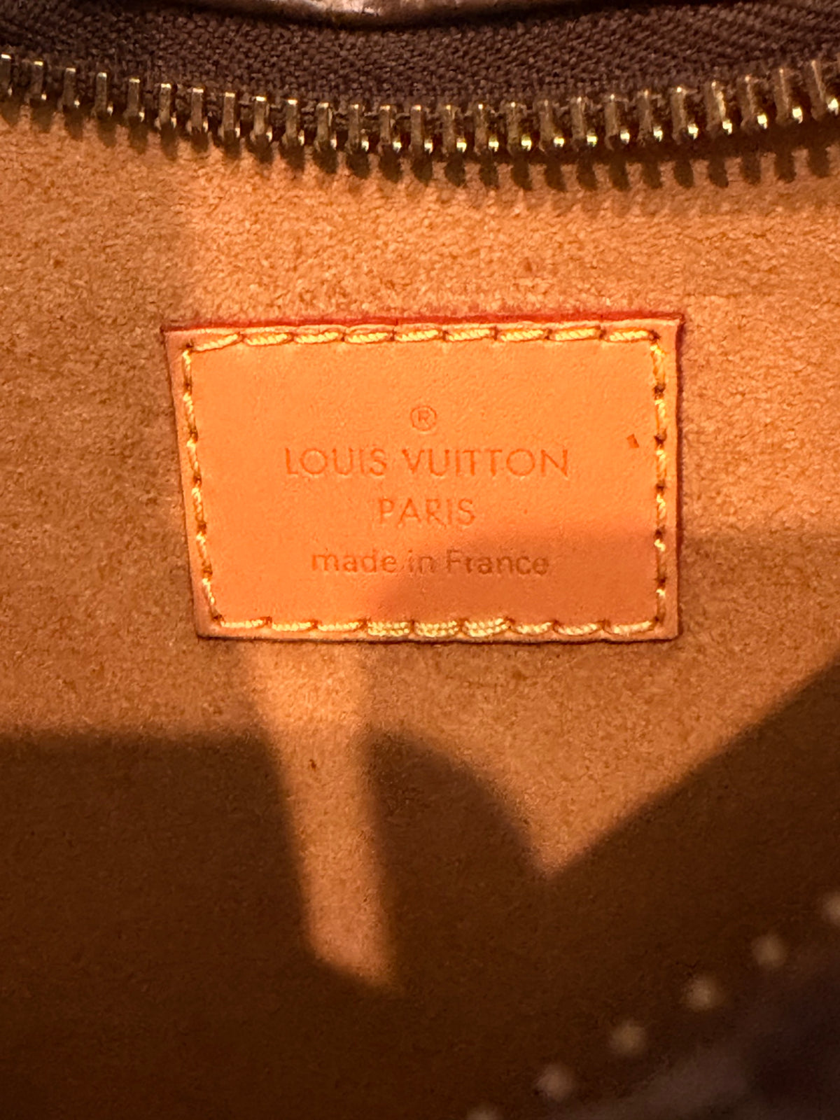 Louis Vuitton Monogram Loop Hobo