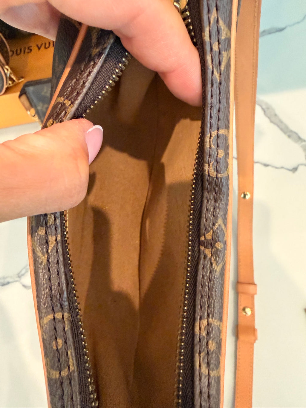 Louis Vuitton Monogram Loop Hobo