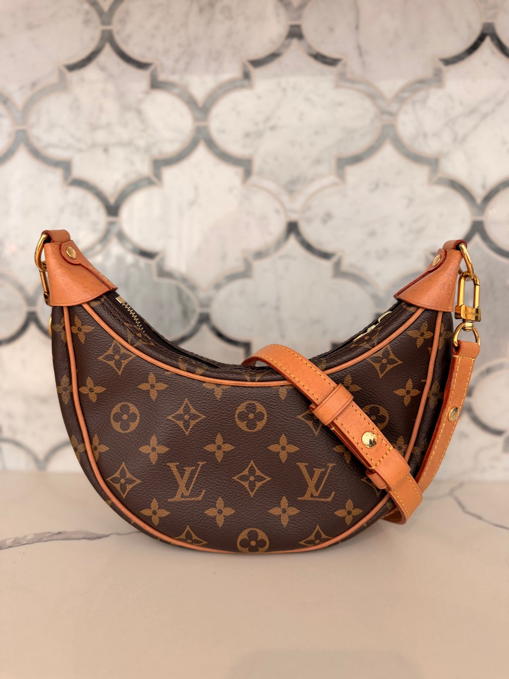 Louis Vuitton Monogram Loop Hobo