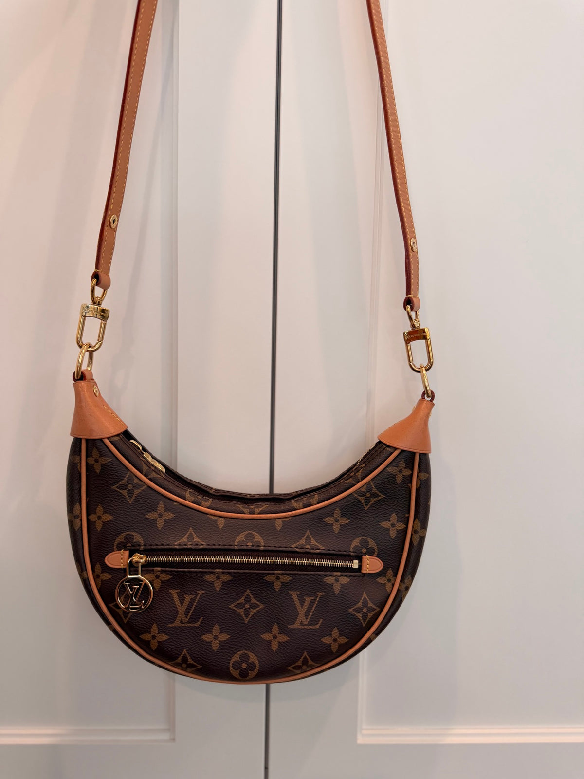 Louis Vuitton Monogram Loop Hobo